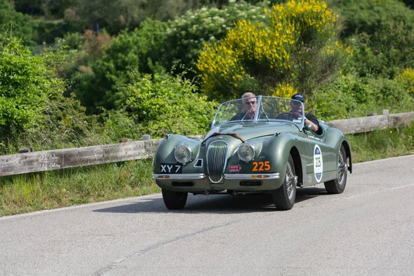 Pesaro Colle San Bartolo Itália Maio 2018 Jaguar 120 Ots — Fotografia de Stock