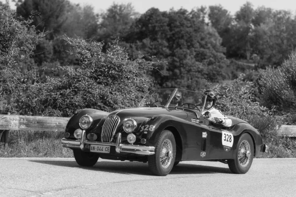 Pesaro Colle San Bartolo Italy 2018 Jaguar Xk140 Ots 1954 — стоковое фото