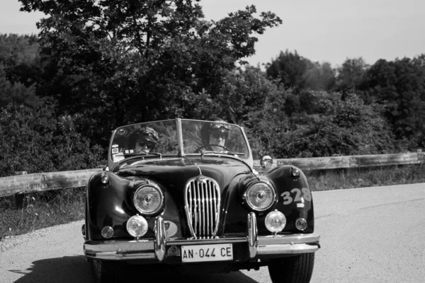 Pesaro Colle San Bartolo Italy 2018 Jaguar Xk140 Ots 1954 — стоковое фото