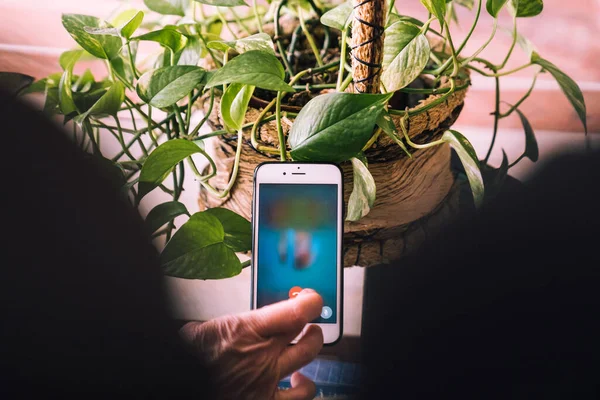 Making a video conference with the family with the mobile phone to talk and laugh.