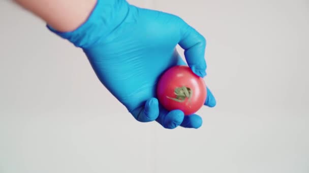 Handtvätta Röd Tomat Med Blå Latexhandskar Desinficera Frukten För Att — Stockvideo