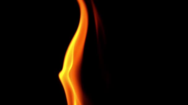 Puissante flamme de feu qui brûle au ralenti sur fond noir .