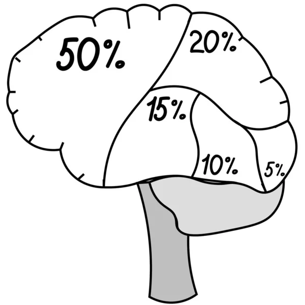 Cerebro. En porcentajes. Dibujo a mano alzada. Representa la relación —  Fotos de Stock