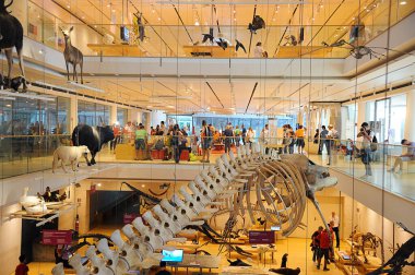 İtalya Trento 25 Ağustos 2018: Trento Bilim Müzesi