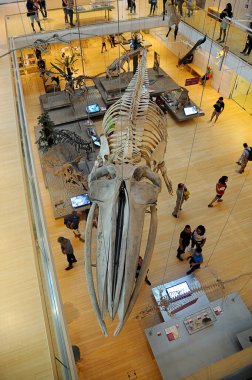 İtalya Trento 25 Ağustos 2018: Trento Bilim Müzesi