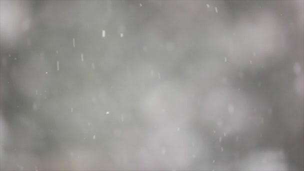 Winterlandschap met vallende sneeuw — Stockvideo