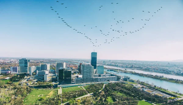 Tuna Nehri ve Viyana Uluslararası Merkezi, yukarıda uçan kuşlar havadan görünümü — Stok fotoğraf