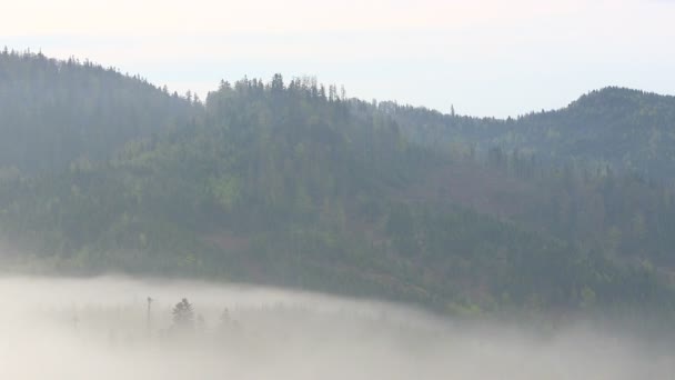 Mountain ochtend voor zonsopgang. — Stockvideo