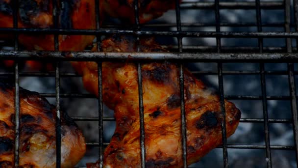 Grilled chicken outdoor. — Stock Video