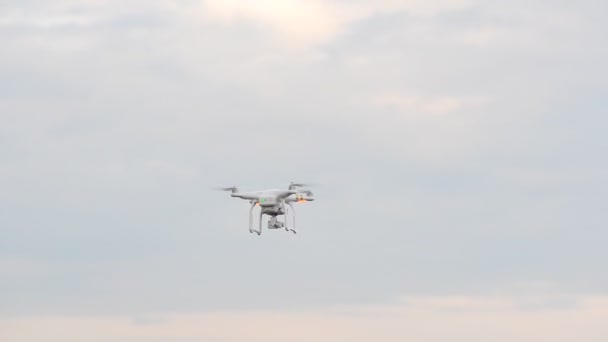 Arama alanında Quadrocopter. — Stok video