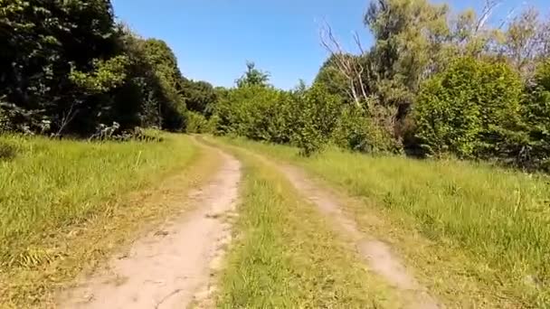 Conducir un coche en la naturaleza . — Vídeos de Stock