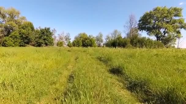 Conduire une voiture dans la nature .