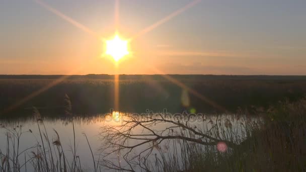 Puesta de sol sobre el lago. — Vídeo de stock