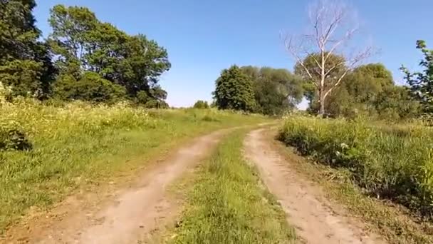 Prowadzenie samochodu w stanie dzikim. — Wideo stockowe