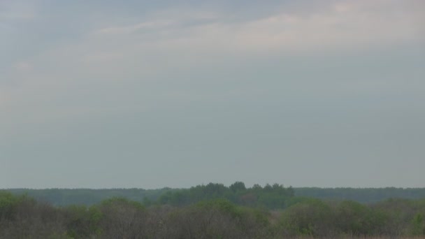 Zeitraffer in der Wolke. — Stockvideo