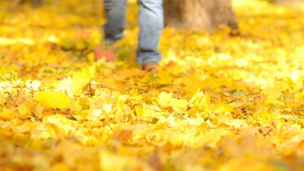Man lopen op een herfst bladeren. — Stockvideo