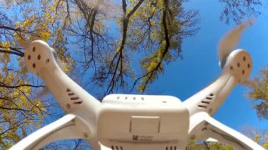 Uçak iniş sonbahar parkta alır. Alt görünümü.