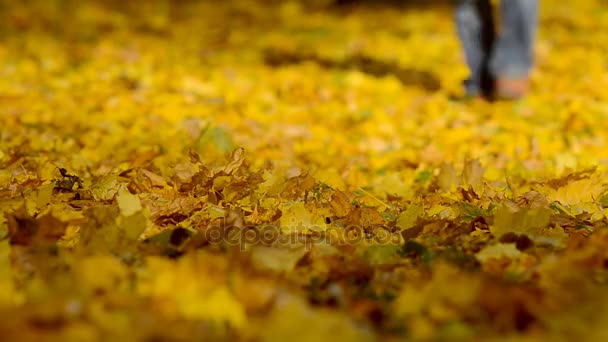 人在中央公园的秋天叶子漫步 — 图库视频影像