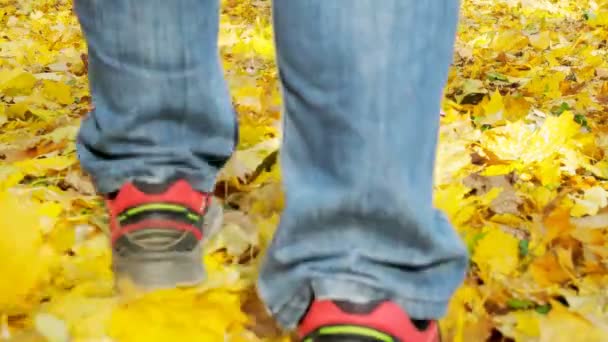 人在中央公园的秋天叶子漫步 — 图库视频影像