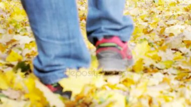 Central Park'ta bir sonbahar üzerinde yürüyen adam bırakır
