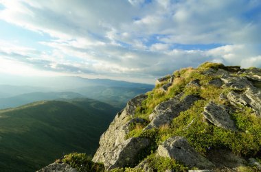 Kayalık bir çıkıntı bitkilerle kaplı.