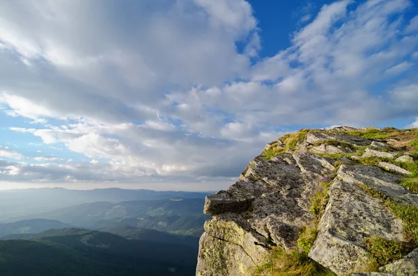 A rocky ledge covered with plants. — Stock Photo, Image