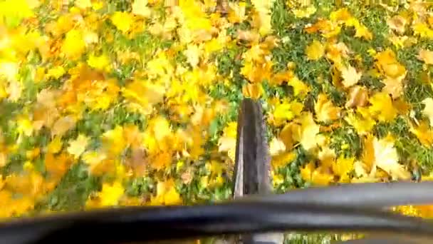 Ponto Vista Filmagem Câmera Passeio Bicicleta Outono Parte Parque Central — Vídeo de Stock