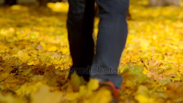 Homem Andando Sobre Uma Folhas Caídas Parque Central — Vídeo de Stock