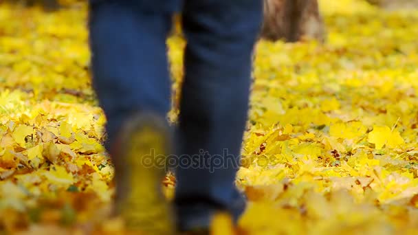 Homem Andando Sobre Uma Folhas Caídas Parque Central — Vídeo de Stock