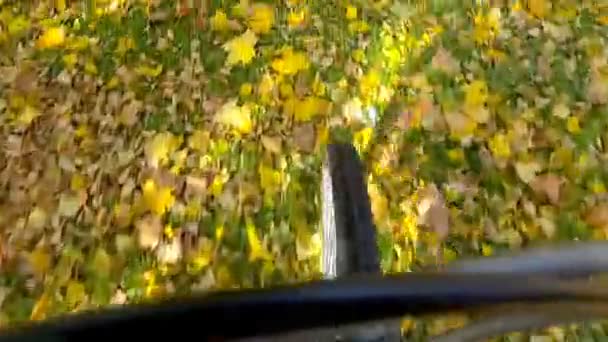 Punt Van Het Weergave Camera Filmen Fietser Rit Een Herfst — Stockvideo