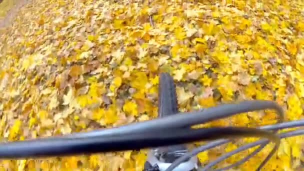 Filmación Con Cámara Punto Vista Paseo Bicicleta Sobre Hojas Otoño — Vídeos de Stock