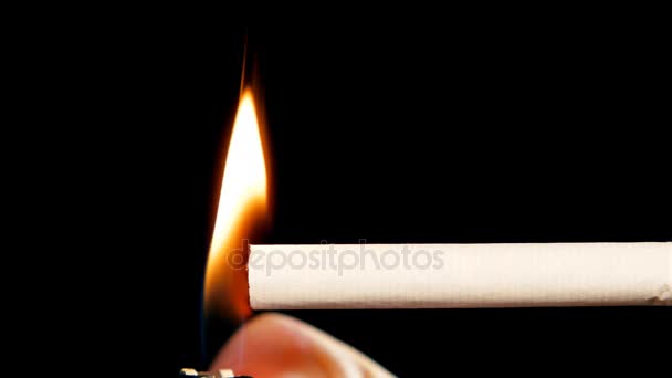 Röka Cigaretter Med Hög Ljudkvalitet Röken Motljuset Syns Tydligt — Stockvideo