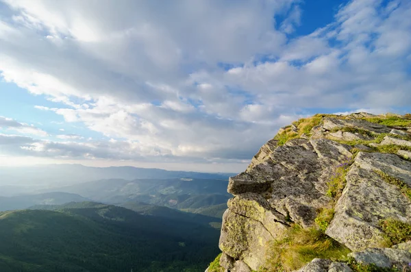 A rocky ledge covered with plants. — Stock Photo, Image