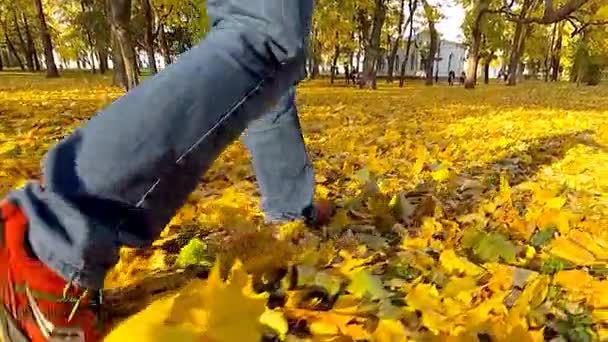 ビュー カメラ撮影のポイント 中央公園で秋の上を歩く男を残します スローモーション — ストック動画