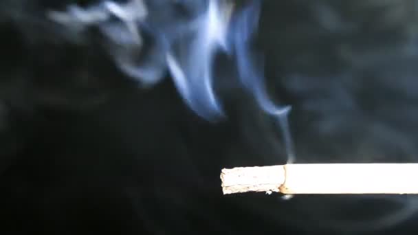 Rökning Cigarett Svart Bakgrund Röken Motljuset Syns Tydligt — Stockvideo