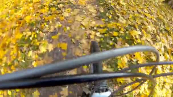 Filmación Con Cámara Punto Vista Paseo Bicicleta Sobre Hojas Otoño — Vídeo de stock