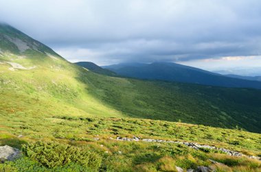 Dağ Yeşil Vadi Karpat Dağları'nda.
