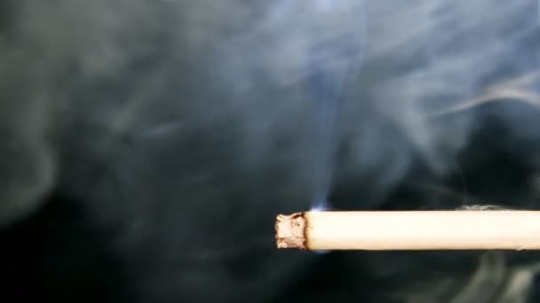 Fumer Cigarette Sur Fond Noir Fumée Dans Rétroéclairage Est Clairement — Video