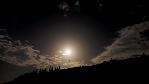 Una Cálida Noche Verano Las Luciérnagas Están Activas Entorno Campestre — Vídeo de stock