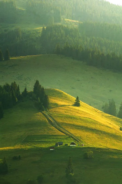 Valle verde montaña — Foto de Stock