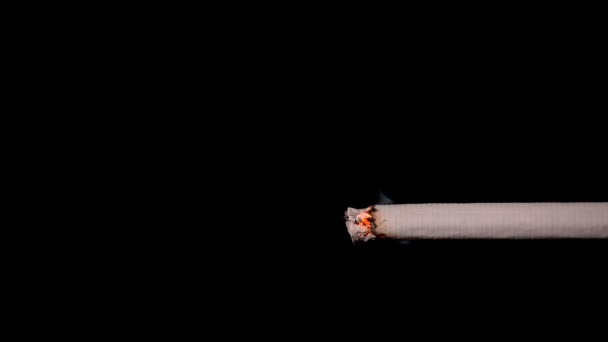 Zigarette Rauchend Auf Schwarzem Hintergrund Der Rauch Der Hintergrundbeleuchtung Ist — Stockvideo