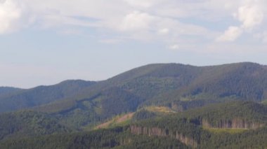 Ormansızlaşma. Ağaçlar ormandaki testereli aşağı kesilir. Doğal afet.