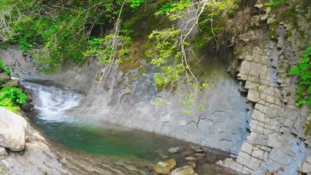 Een Berg Rivier Stroomt Tussen Rotsachtige Kusten Het Bos — Stockvideo