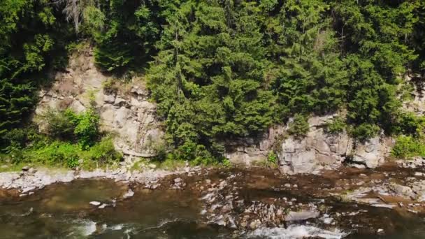 Fiume Montagna Scorre Tra Sponde Rocciose Della Foresta — Video Stock