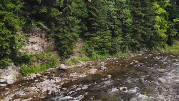 Fiume Montagna Scorre Tra Sponde Rocciose Della Foresta — Video Stock