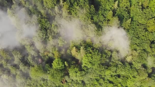 Flygande Drönare Över Vackra Berg Bland Moln — Stockvideo