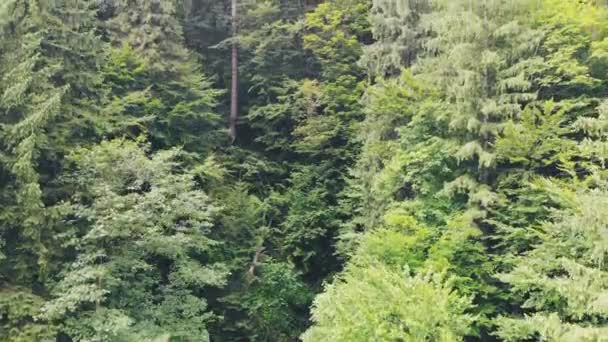 Drone volant au-dessus de belles montagnes parmi les nuages.