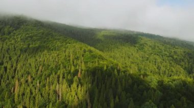Bulutların arasındaki güzel dağların üzerinde uçan drone.