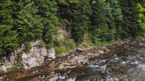 一条山河在森林的岩石海岸之间流淌 — 图库视频影像