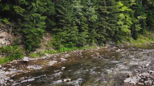 山の川が森の岩の海岸の間を流れる — ストック動画